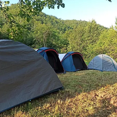 Seosko Domacinstvo „gabar” *