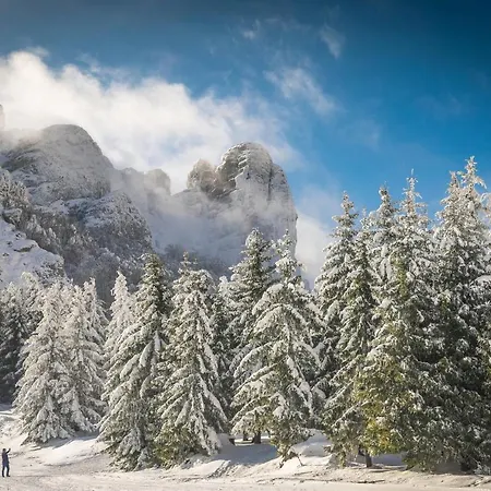 Seosko Domacinstvo „gabar” بيت للعطل Custica