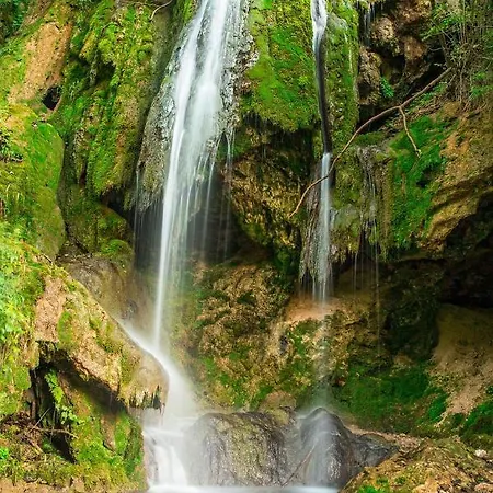 Seosko Domacinstvo „gabar” *