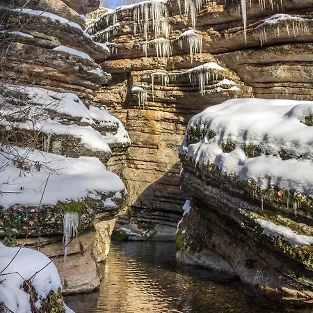 Seosko Domacinstvo „gabar” Custica