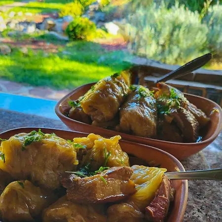 Seosko Domacinstvo „gabar” بيت للعطل Custica