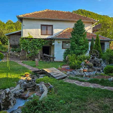 Seosko Domacinstvo „gabar” Custica