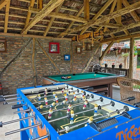 Seosko Domacinstvo „gabar” 別荘 Ćuštica