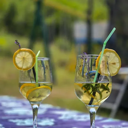 Seosko Domacinstvo „gabar” بيت للعطل *