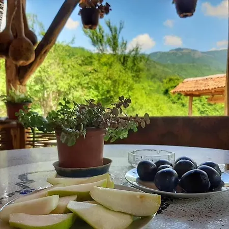 بيت للعطل Seosko Domacinstvo „gabar” *