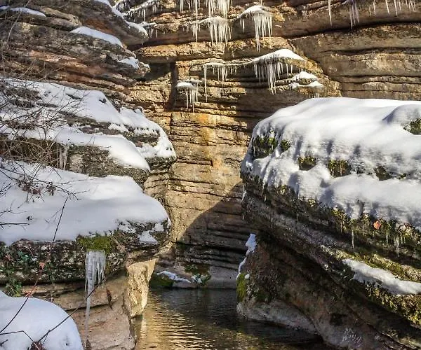 Seosko Domacinstvo „gabar” Custica