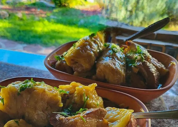 Seosko Domacinstvo „gabar” 度假居 Custica