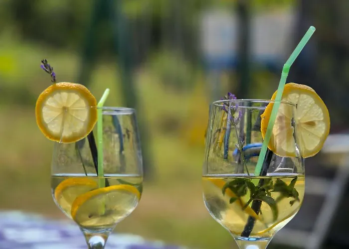 Seosko Domacinstvo „gabar” 度假居 *